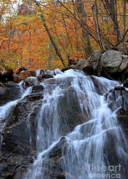 Fall Foliage Greeting Card featuring the photograph Evans Notch Waterfall by Brenda Giasson