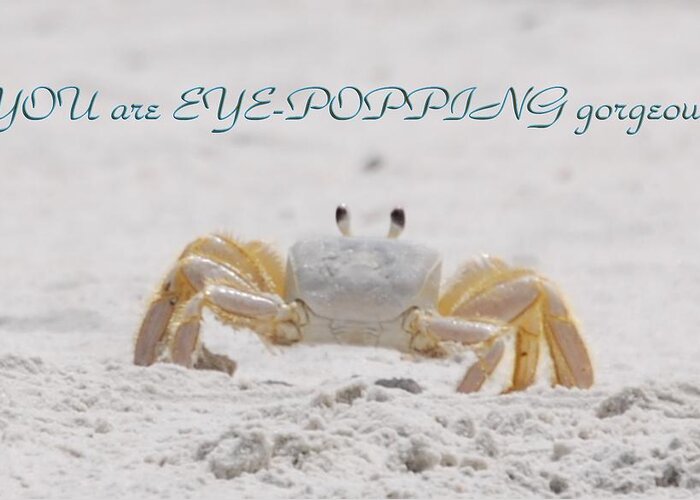 Crab Greeting Card featuring the photograph Eye Popping Gorgeous by Judy Hall-Folde
