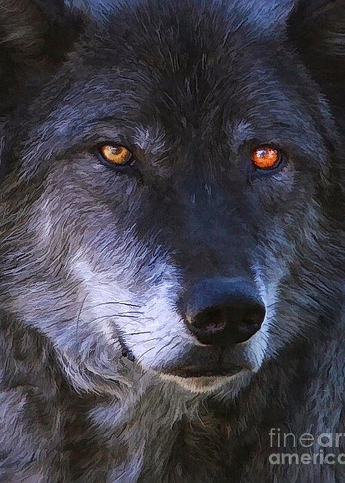 Wolf Greeting Card featuring the photograph Eyes by Clare VanderVeen