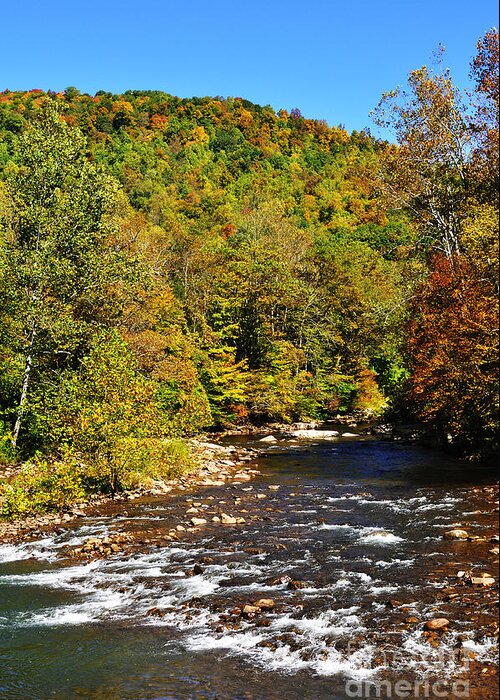 Elk River Greeting Card featuring the photograph Fall along Elk River by Thomas R Fletcher
