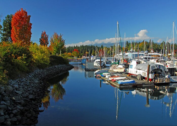 Harbors Greeting Card featuring the photograph Fall Colors at English Bay by Lynn Bauer