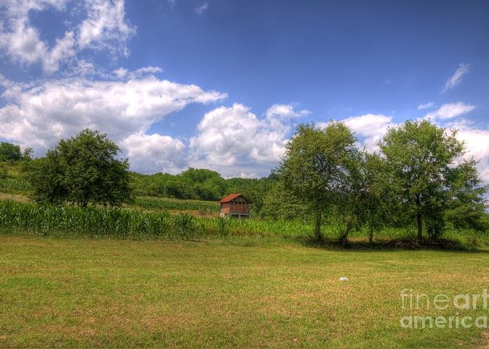 House Greeting Card featuring the photograph Farm house by Dejan Jovanovic