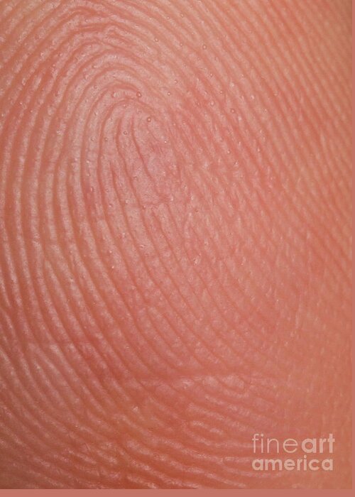 Finger Greeting Card featuring the photograph Fingerprint Ridges by Photo Researchers, Inc.