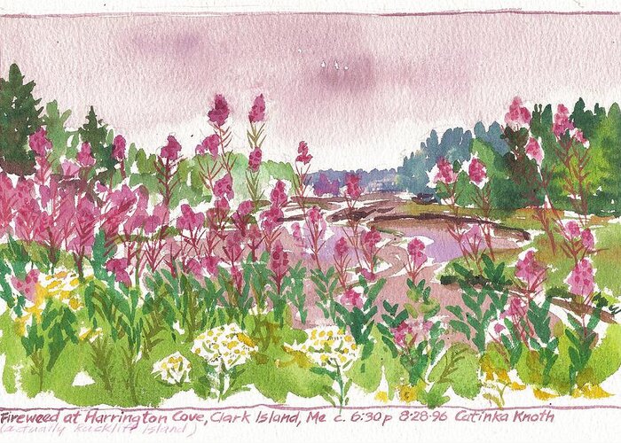  Greeting Card featuring the painting Fireweed Harrington Cove Rackliff Island Maine by Catinka Knoth