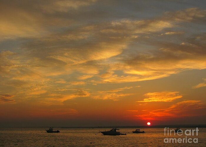 Sunset Greeting Card featuring the photograph Five in a Row by Lili Feinstein