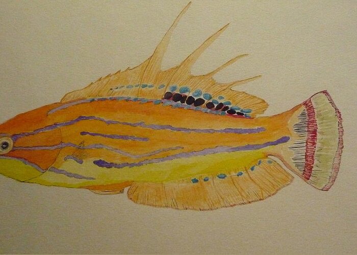 Nature Greeting Card featuring the painting Flasher Wrasse by Tim Forrester