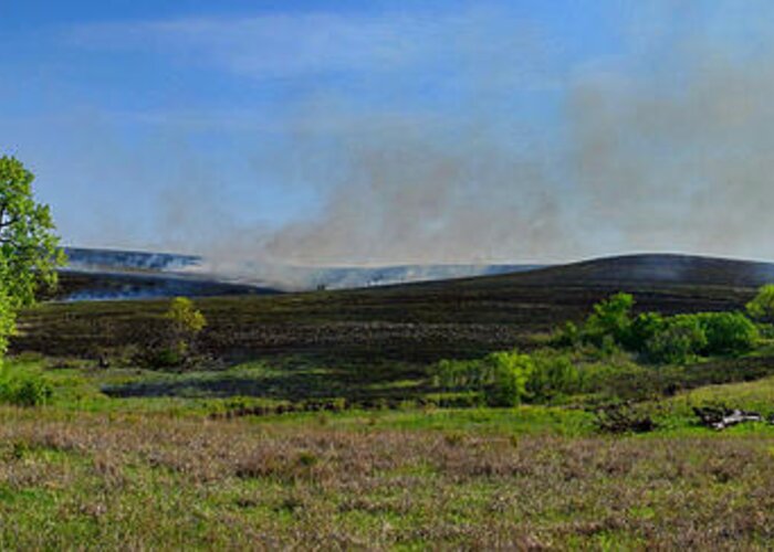 Burn Greeting Card featuring the photograph Flint Hills Controlled Burn by Alan Hutchins