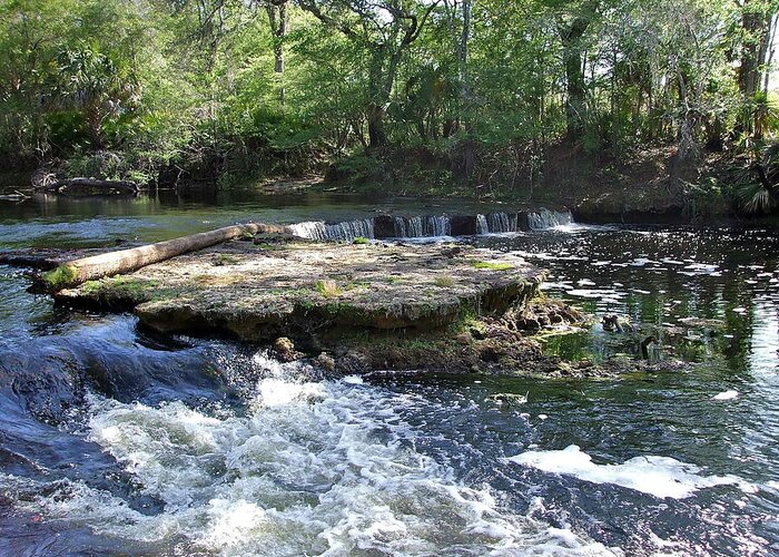 Serene Greeting Card featuring the photograph Florida Rapids by Susan Wyman