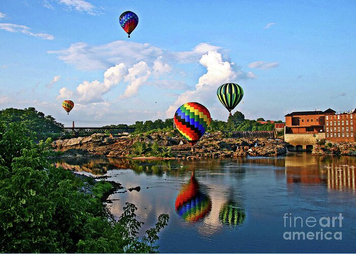 Baimg Greeting Card featuring the photograph Flying High by Brenda Giasson