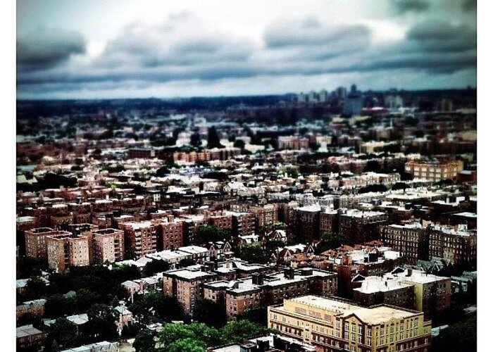 Concretejungle Greeting Card featuring the photograph Flying Over Queens by Natasha Marco