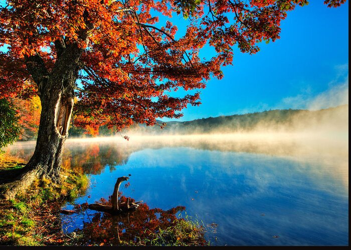 North Carolina Greeting Card featuring the photograph Foggy Price Lake After Sunrise II by Dan Carmichael