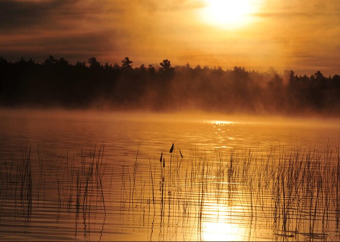 Fog Greeting Card featuring the photograph Foggy sunrise by Peter DeFina