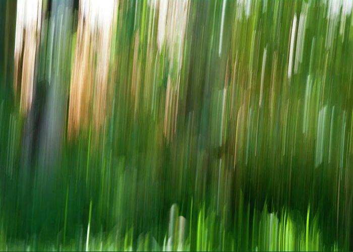 Green Greeting Card featuring the photograph Forest - Abstract by ShaddowCat Arts - Sherry