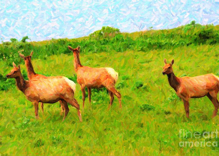 Tule Elk Greeting Card featuring the photograph Four Elks by Wingsdomain Art and Photography