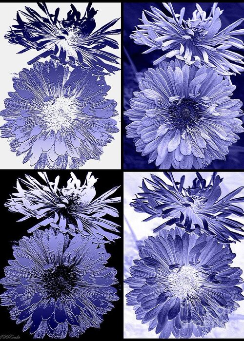 Anemone Greeting Card featuring the digital art Four Interpretations of Anemone in Blue by J McCombie