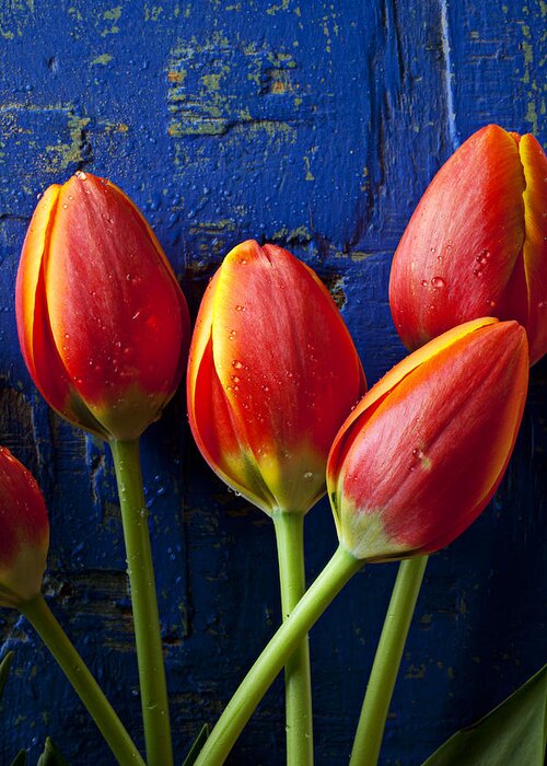 Four Greeting Card featuring the photograph Four orange tulips by Garry Gay