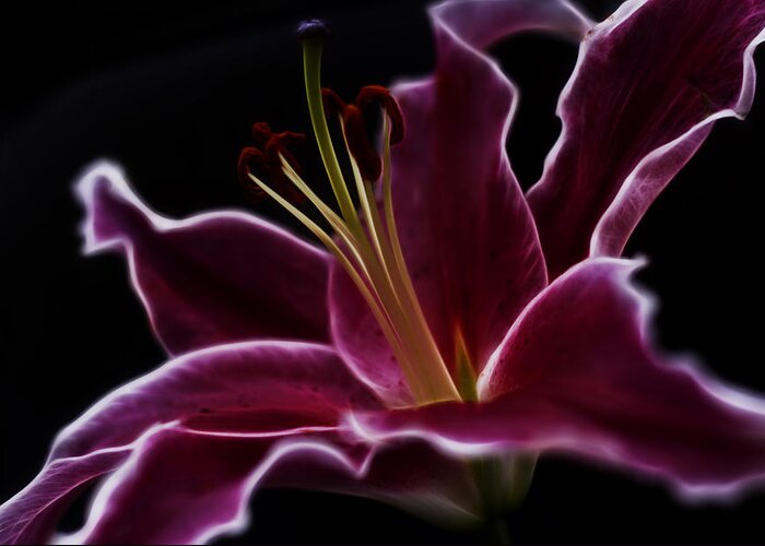 Lily Greeting Card featuring the photograph Fractal Lily Petals by Linda Tiepelman