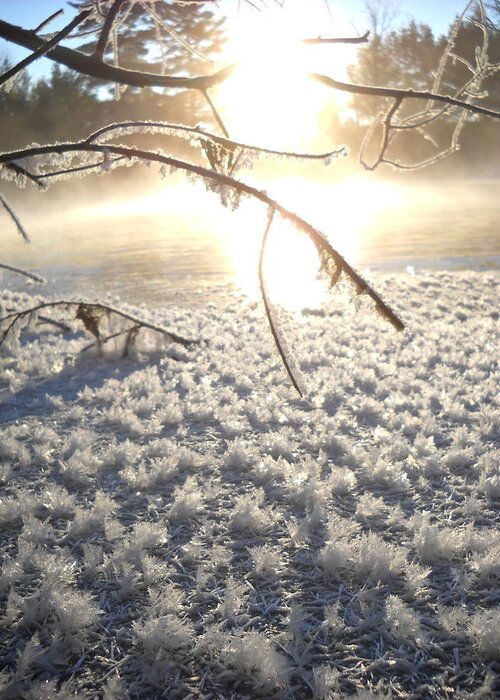 Frost Greeting Card featuring the photograph Frosty Ice at Sunrise by Kent Lorentzen