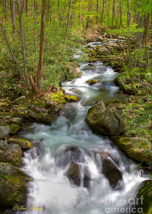 Smoky Mountains Greeting Card featuring the photograph Full Stream by Sue Karski