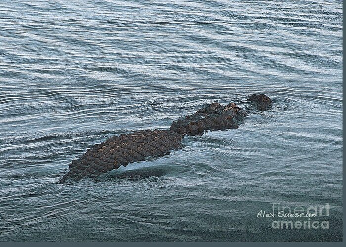 Birds Greeting Card featuring the painting Gator Stalk by Alex Suescun