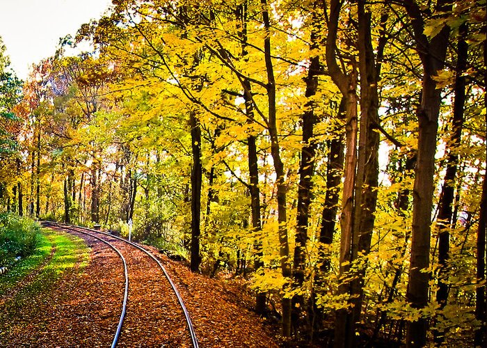 Train Photo Greeting Card featuring the photograph Golden Rails by Sara Frank