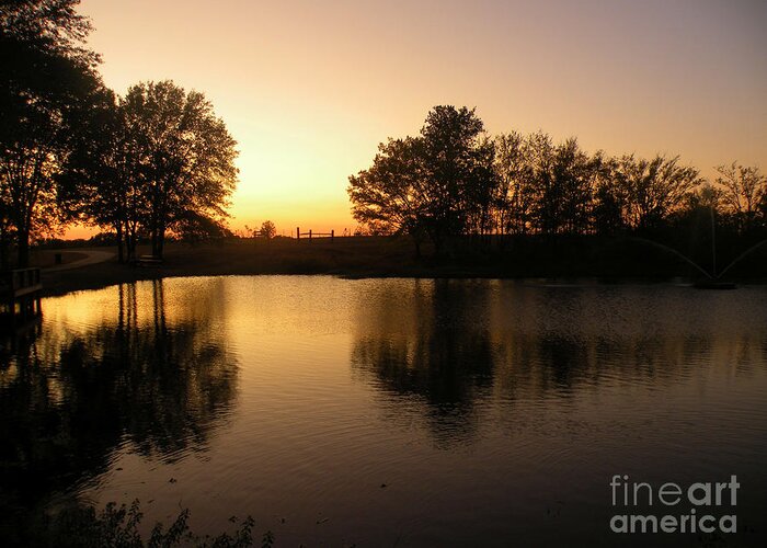 Mineola Nature Preserve Greeting Card featuring the photograph Golden Sunset by Kathy White