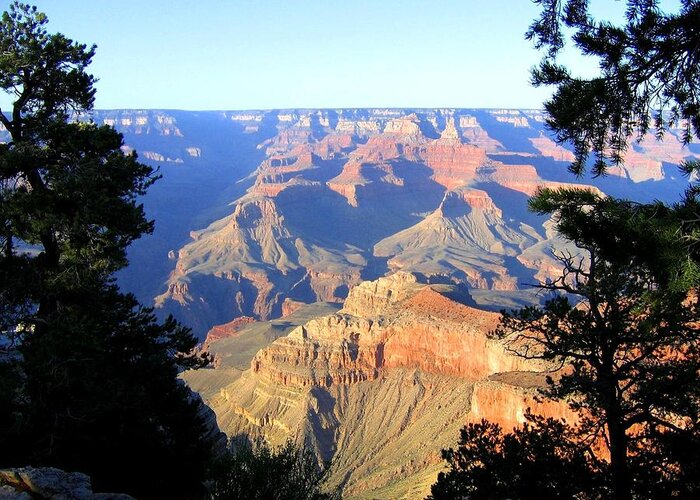 Grand Canyon Greeting Card featuring the photograph Grand Canyon 28 by Will Borden