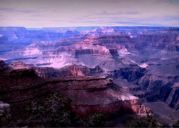 Grand Canyon Greeting Card featuring the photograph Grand Canyon Early Evening Light by Aaron Burrows
