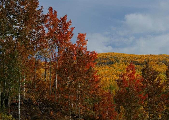 Fall Colors Greeting Card featuring the photograph Grand Mesa by Ernest Echols