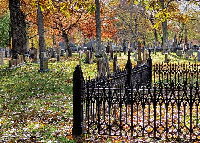 Graveyard Greeting Card featuring the photograph Gravestones by Janice Drew