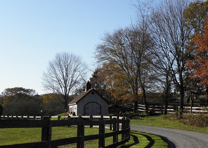 Farm Greeting Card featuring the photograph Gypsy Farm by Kim Galluzzo