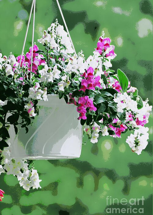 Hanging Flower Basket Print Greeting Card featuring the photograph Hanging Flower Basket by Lila Fisher-Wenzel
