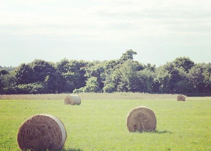  Greeting Card featuring the photograph Hay Bales by Unique Louise