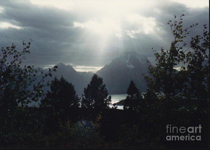 Light Rays Greeting Card featuring the photograph Heavenly Rays by Barbara Plattenburg