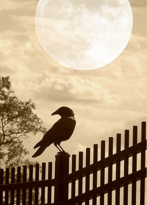 Fence Greeting Card featuring the photograph Holy Crow by Dark Whimsy