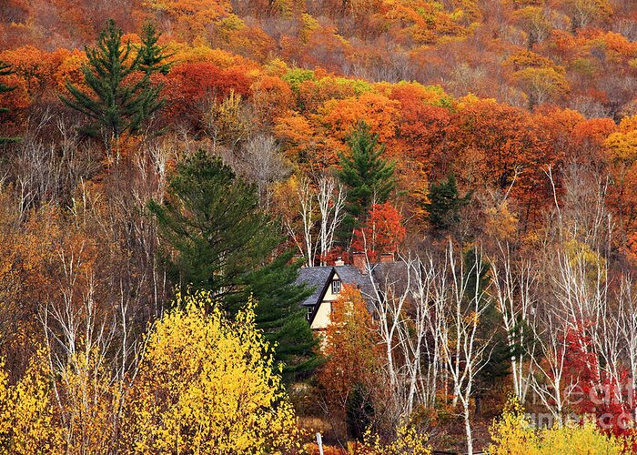 Fall Foliage Greeting Card featuring the photograph Home Sweet Home by Brenda Giasson
