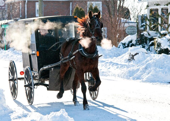 Snow Greeting Card featuring the photograph Horse And Buggy In The Snow by Craig Leaper