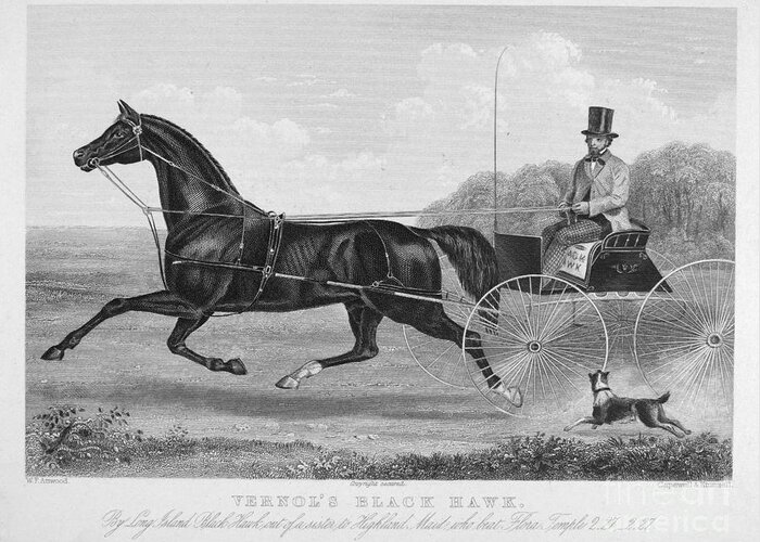 1850 Greeting Card featuring the photograph HORSE RACING, c1850 by Granger