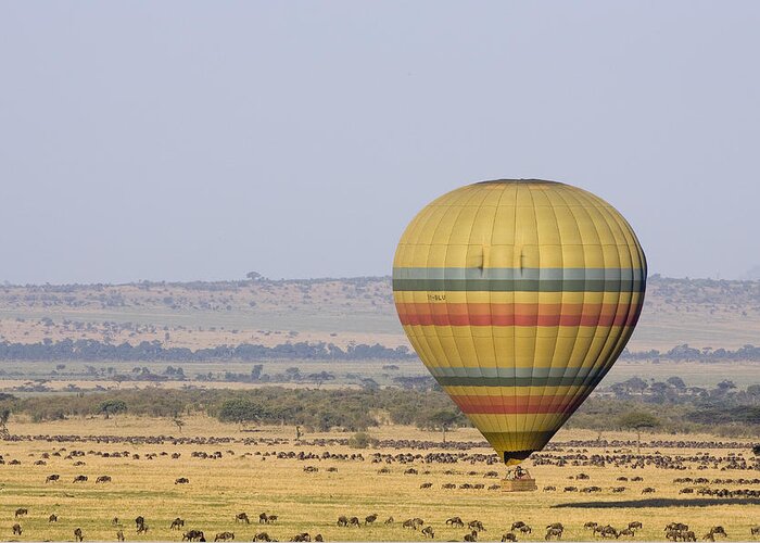00761909 Greeting Card featuring the photograph Hot Air Balloon Flying Over Wildebeest by Suzi Eszterhas
