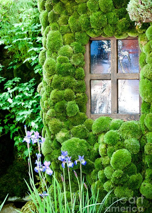 House Greeting Card featuring the photograph House with moss walls by Simon Bratt