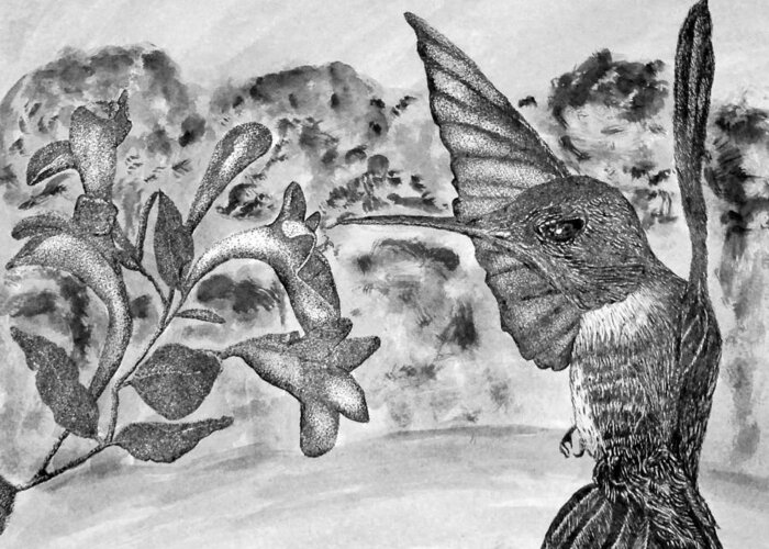 Hummingbird Greeting Card featuring the drawing Hummingbird by Shelley Bain