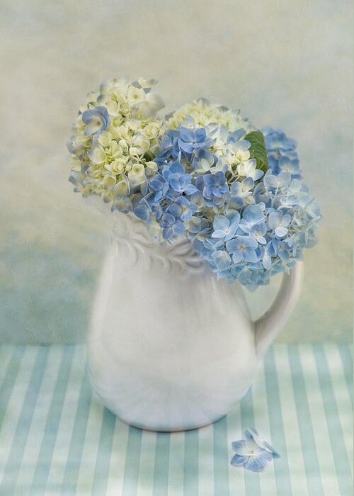 Hydrangea Greeting Card featuring the photograph Hydrangea Morning by Robin-Lee Vieira