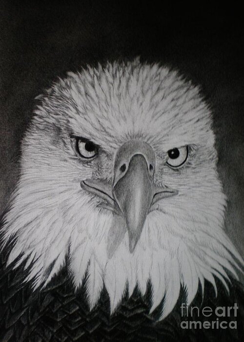 Eagle Greeting Card featuring the drawing I am watching you by Paula Ludovino