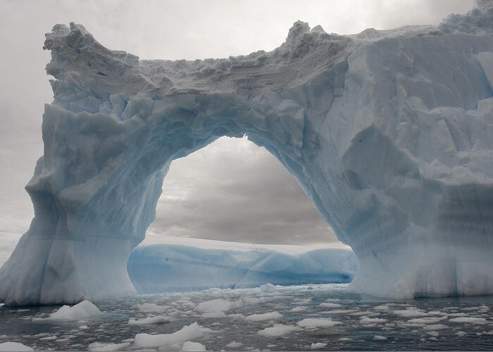 Mp Greeting Card featuring the photograph Iceberg With A Natural Arch, Antarctic by Flip Nicklin