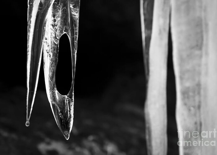 Ice Greeting Card featuring the photograph Icicle by Olivier Steiner