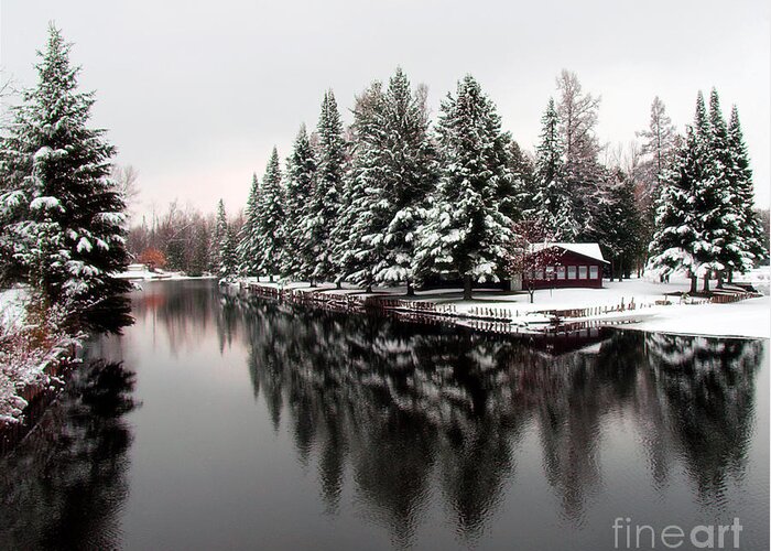 Pine Greeting Card featuring the photograph I'll Be Home For Christmas by Terry Doyle