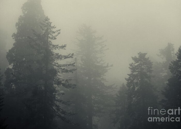 Scenery Greeting Card featuring the photograph In the mist - toning by Hideaki Sakurai