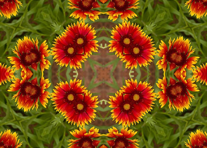 Kaleidoscope Greeting Card featuring the photograph Indian Blanket Flower - Kaleidoscope by Bill Barber