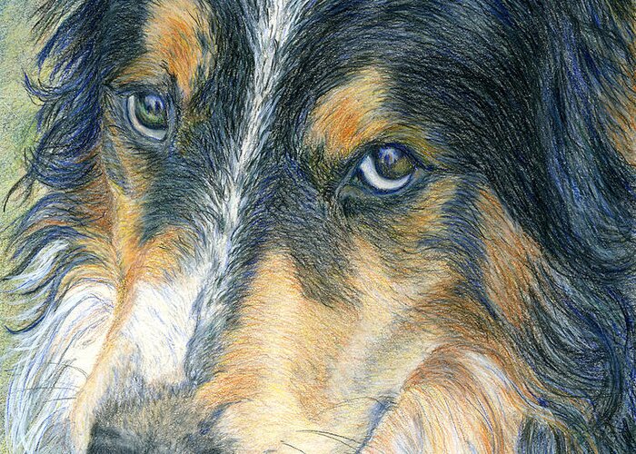 Border Collie Greeting Card featuring the painting Innocent Eyes by Karen Curley