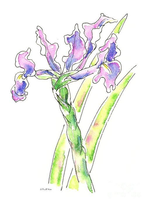 Iris Greeting Card featuring the painting Iris Watercolor Painting 1 by Gordon Punt